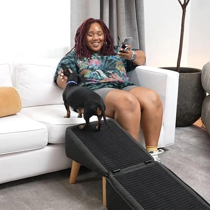 The Ottoman For Your Dog