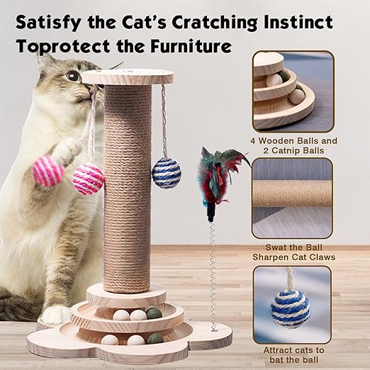 Cat Scratching Post