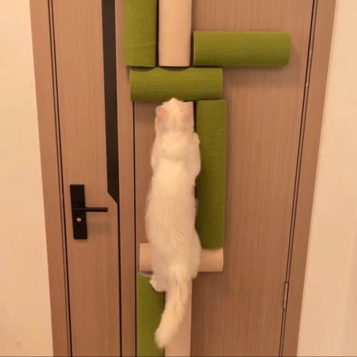 Door-Mounted Cat Scratching Post