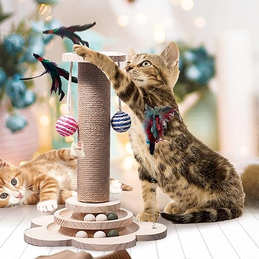 Cat Scratching Post