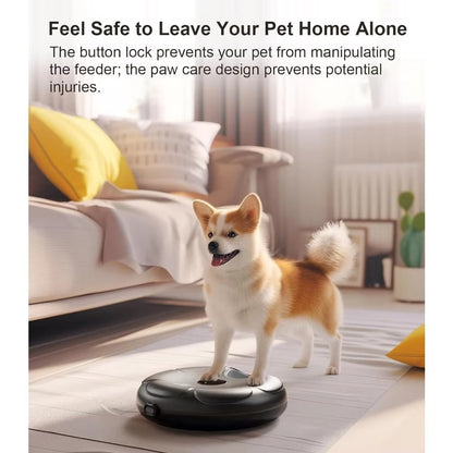 Cordless Automatic Food Dispenser