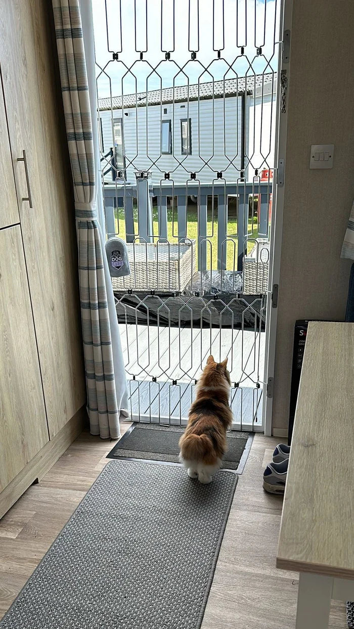 Cat Full Height Barrier