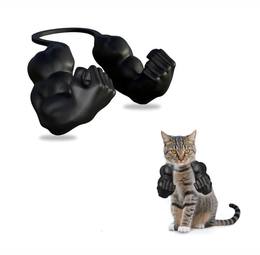 3D Cat Arms