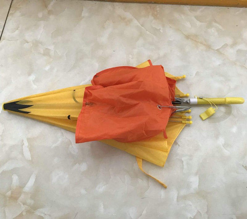Duck Head Umbrella