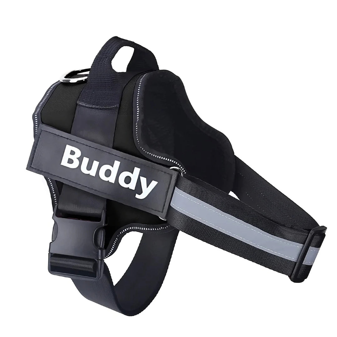 Tailored Harness™ (Free Training Guide)