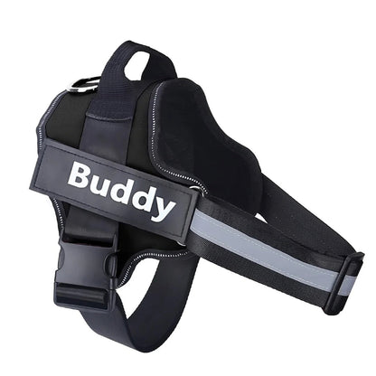 Tailored Harness™ (Free Training Guide)