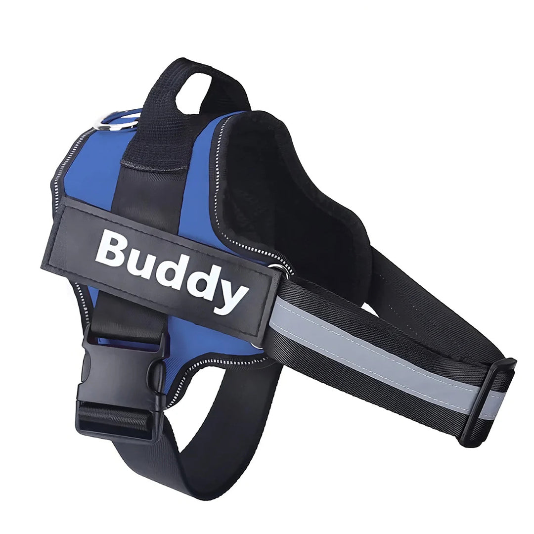 Tailored Harness™ (Free Training Guide)