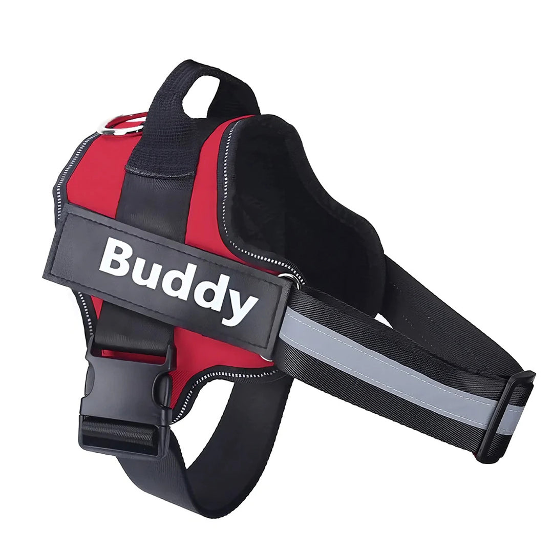 Tailored Harness™ (Free Training Guide)