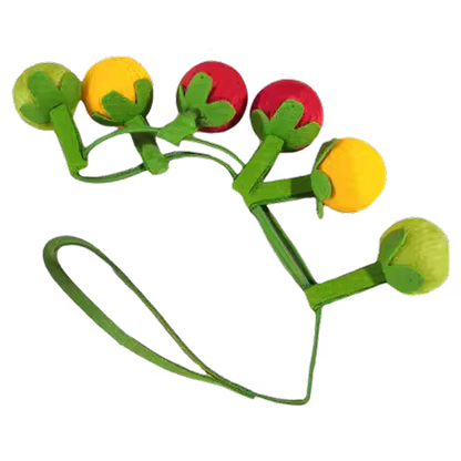 Cat toy cherry tomato and persimmon skewers tease