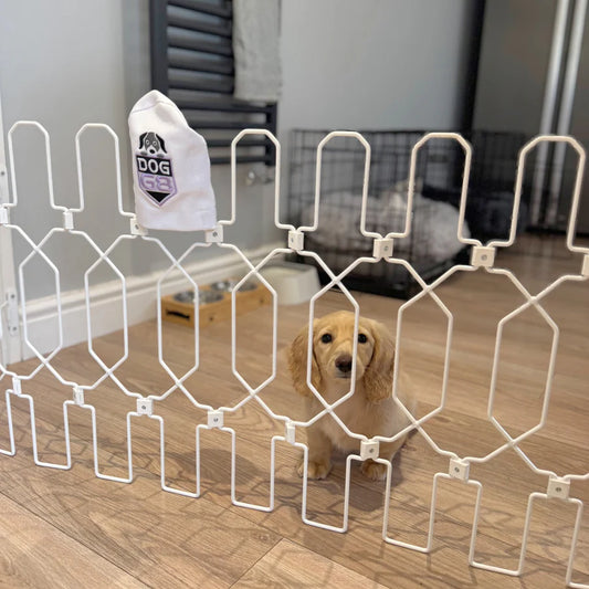 Adjustable Dog Safety Gate