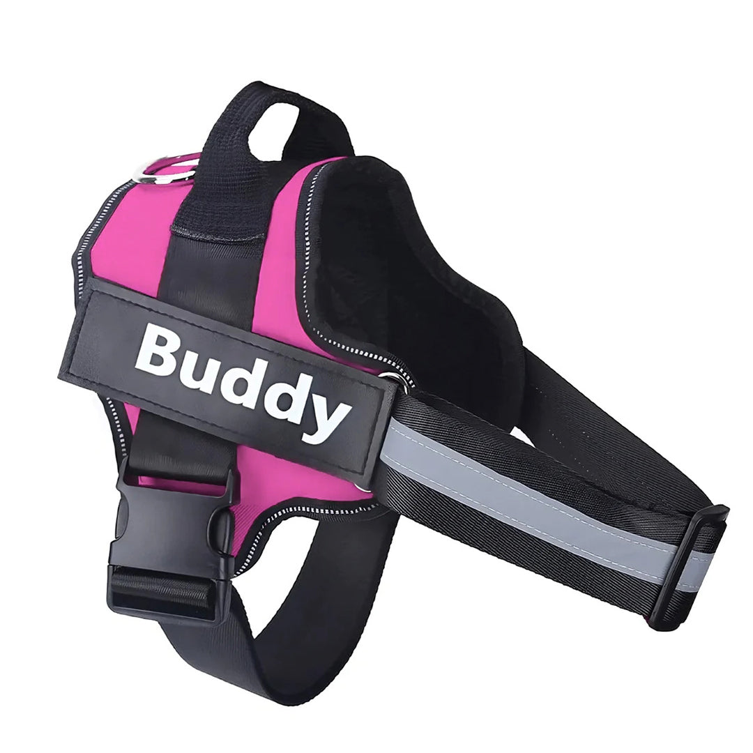 Tailored Harness™ (Free Training Guide)