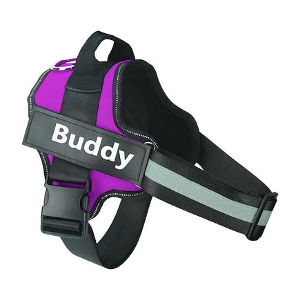 Tailored Harness™ (Free Training Guide)