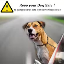 Dog Seat Belts Retractable