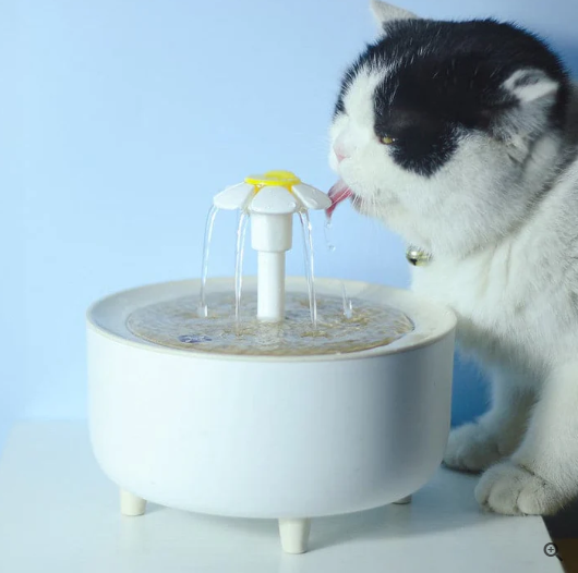 PureFlow Pet Dispenser
