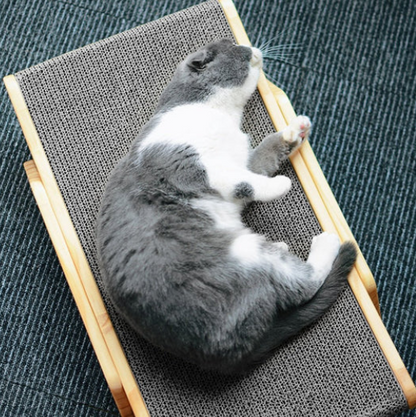 3-in-1 Wooden Detachable Lounge Bed