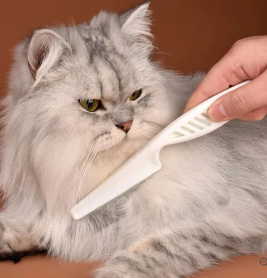 Cat Hair Loss and Flea Comb