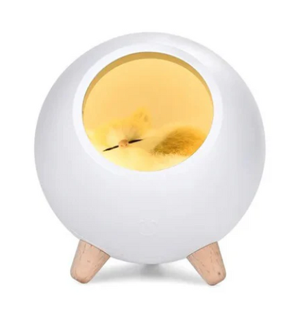 napping cat lamp