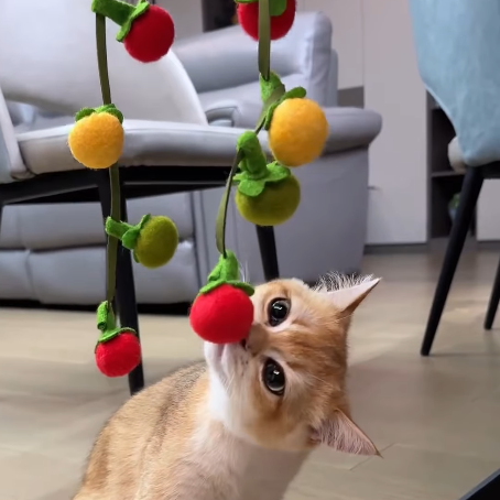 Cat toy cherry tomato and persimmon skewers tease