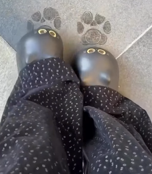 Cute Cotton Shoes Cartoon Cat Slippers