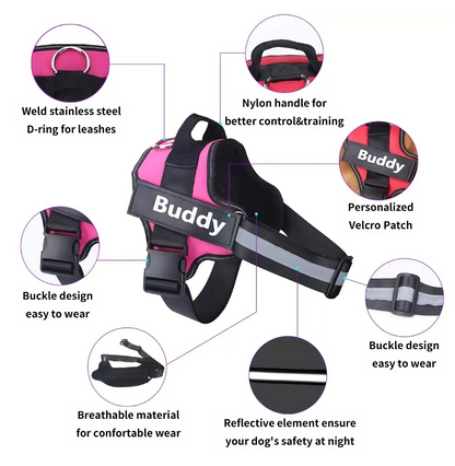 Tailored Harness™ (Free Training Guide)