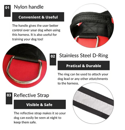 Tailored Harness™ (Free Training Guide)