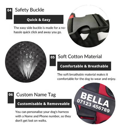Tailored Harness™ (Free Training Guide)