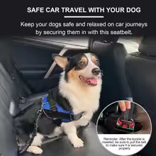 Dog Seat Belts Retractable