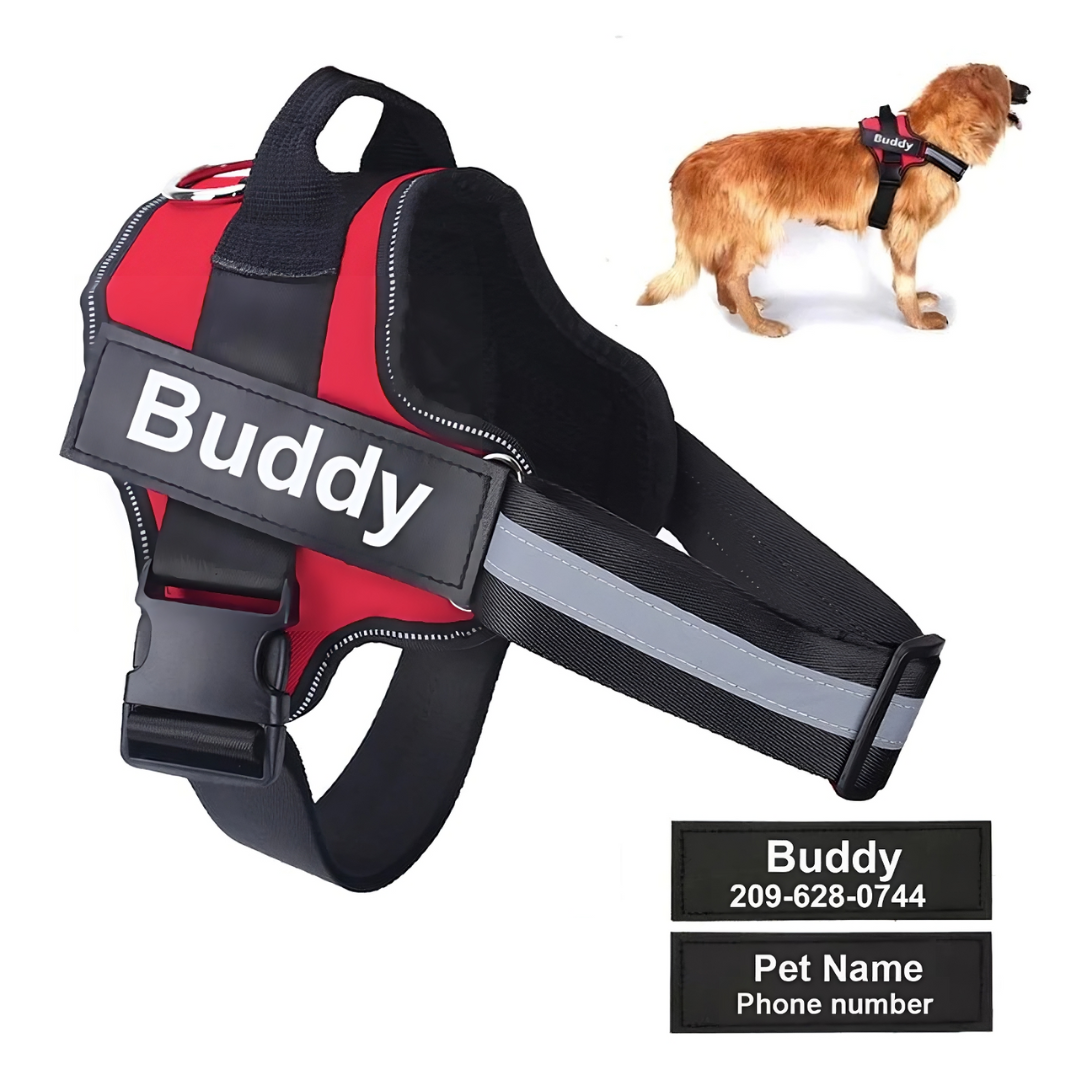Tailored Harness™ (Free Training Guide)