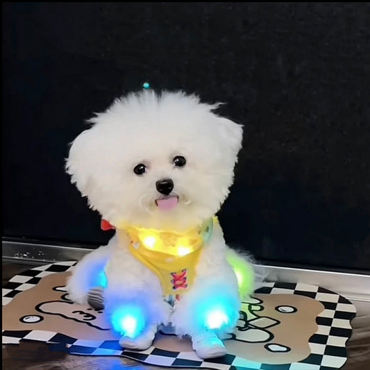 Mini Led Lights, Battery Powered - 10 Pack