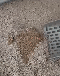 Cat Litter Scoop Pro