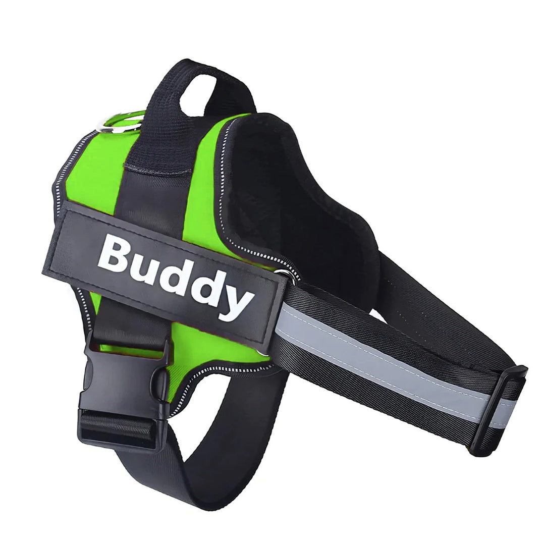 Tailored Harness™ (Free Training Guide)