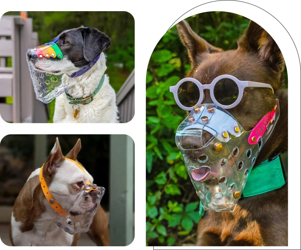 Dog Muzzle