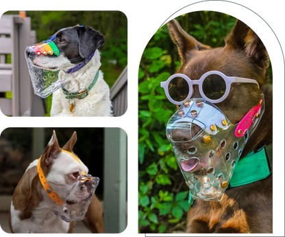Dog Muzzle