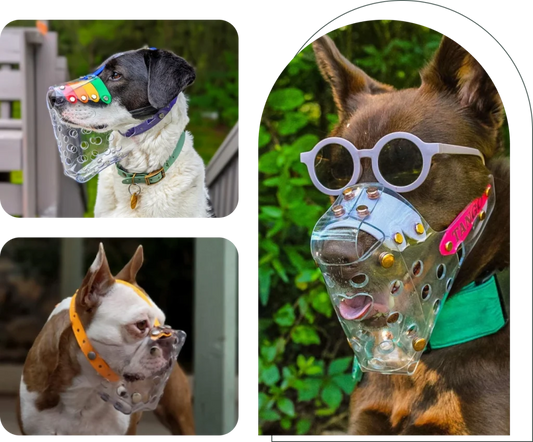 Dog Muzzle