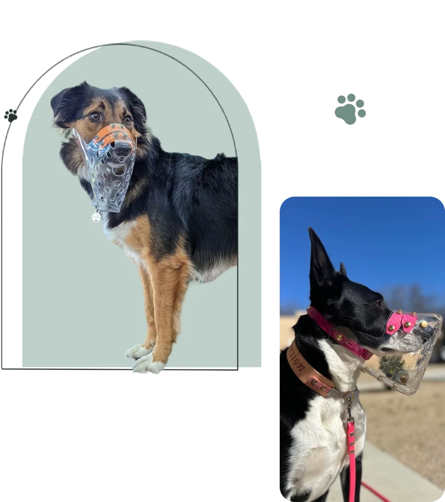 Dog Muzzle
