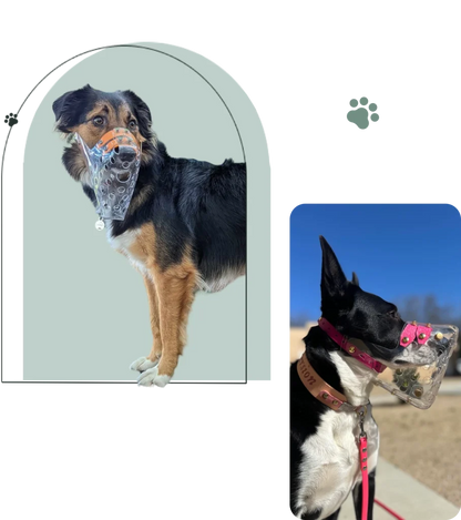 Dog Muzzle