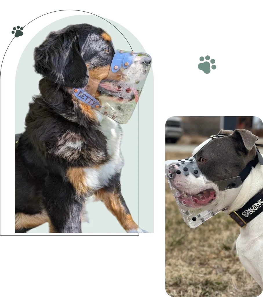 Dog Muzzle