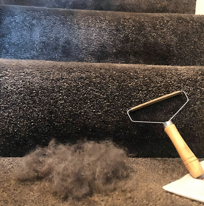 Portable Lint Remover