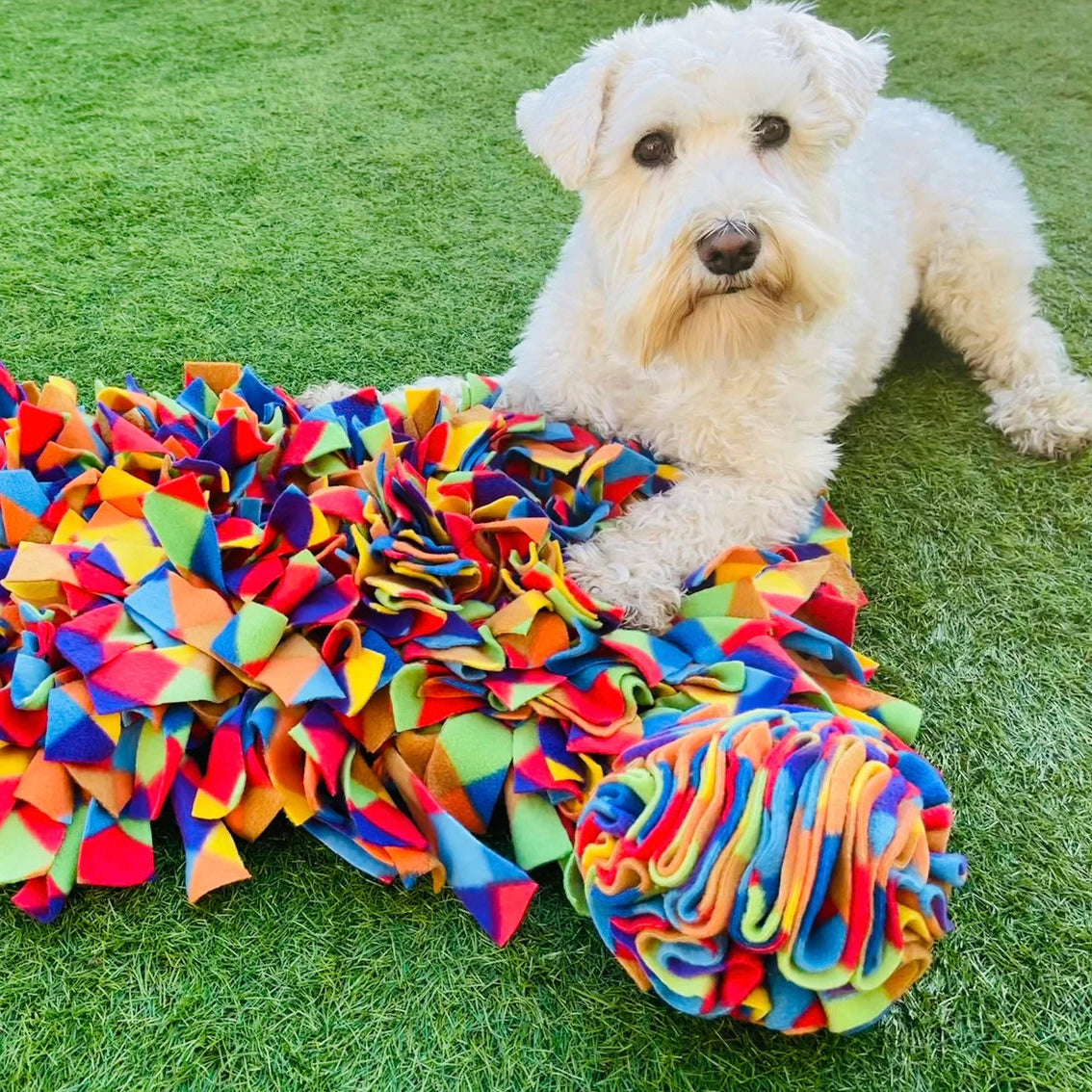 Extra Large Snuffle Mat for Dogs – Interactive Slow Feeder & Enrichment Toy