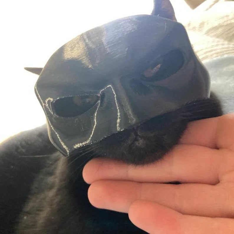 CatMan (Batman Mask For Cats)