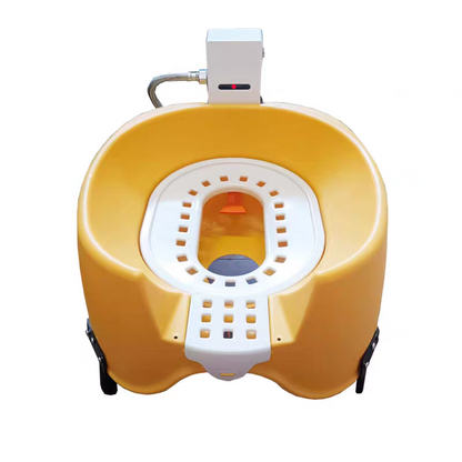 Luxury Auto-Flushing Cat Toilet