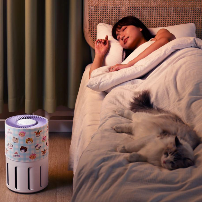 Home Air Purifier for Pets